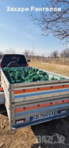 🌿 Висококачествен Биотор от Калифорнийски Червей – Резултати, които се виждат 🌿, снимка 5 - Тор и почвени смеси - 38391064