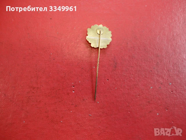 Знак значка с емайл TV ESCH 1893, снимка 4 - Колекции - 51367786