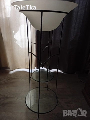 Цветарник саксийник 