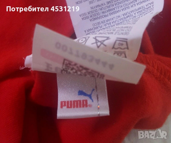 Зимно яке  Scotch Shrunk и суитчер Puma Scuderia Ferrari , снимка 12 - Якета - 52395690