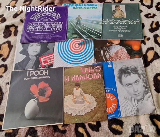 Грамофонни плочи , снимка 5 - Грамофонни плочи - 52812194
