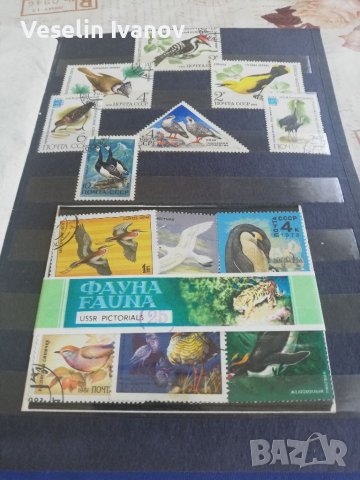 Пощенски марки колекция класьор, снимка 6 - Филателия - 36763906