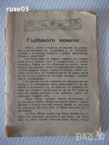 Книга "Гърбавото момиче Селма Лагерльофъ" - 14 стр.