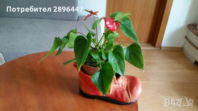 Керамична кашпа-за цвете, декорация Намалена!, снимка 10 - Вази - 34179861