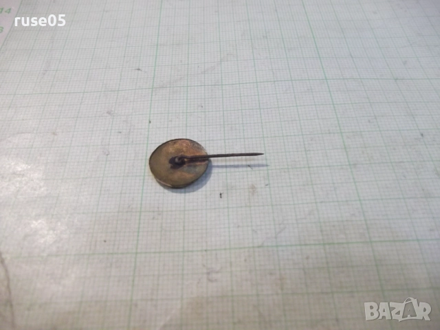 Значка "Еделвайс", снимка 3 - Колекции - 52553492