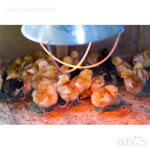 Отоплителна лампа Ledivion за домашни птици , снимка 3 - За селскостопански - 52881594