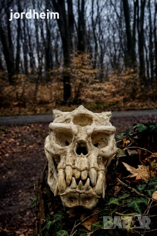 3D фентъзи черепи. 3D Fantasy realistic skulls dark fantasy, снимка 4 - Декорация за дома - 53940500