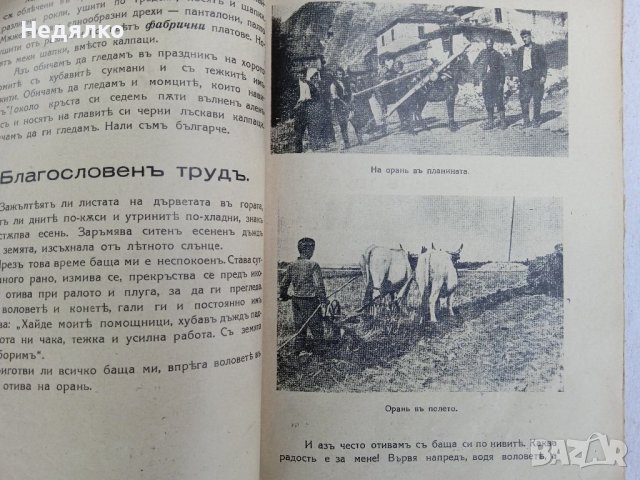 Уникална детска книга,1940,алманах, енциклопедия , снимка 15 - Антикварни и старинни предмети - 37788451