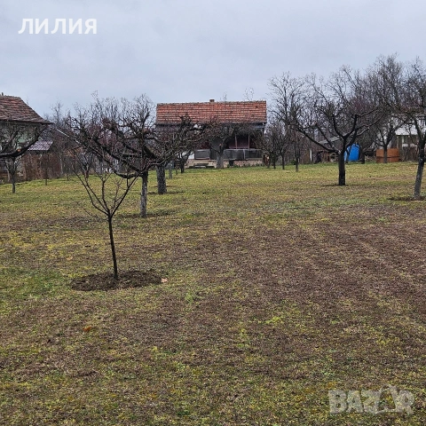 ВИЛЕН ИМОТ, Вачански лозя, м. Янкин връх, снимка 12 - Вили - 53935273