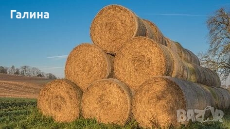 Продавам рулонни бали слама и люцерна, снимка 1