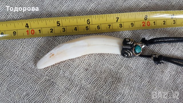 Колие 1 от естествен зъб на морски бозайник, снимка 2 - Антикварни и старинни предмети - 30209181