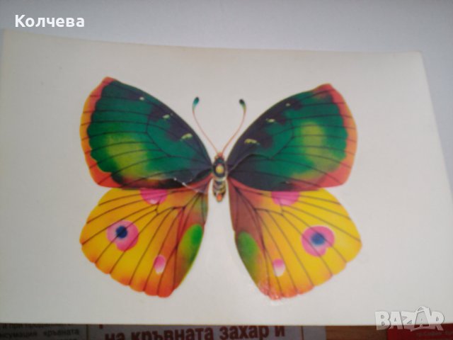 продавам лепенки за яйца, разтворими във вода, снимка 4 - Други - 40065477