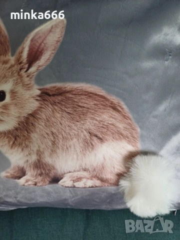 Декоративна прюшена възглавничка