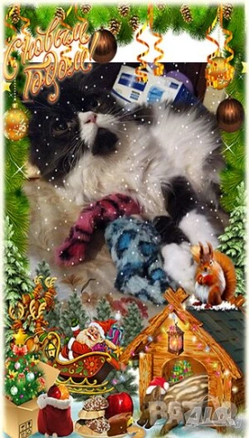  Ваксинирани персийски дългокосмести многоцветни принцове,с ЕС паспорт,микрочип домашни любимци!, снимка 5 - Други - 42172667