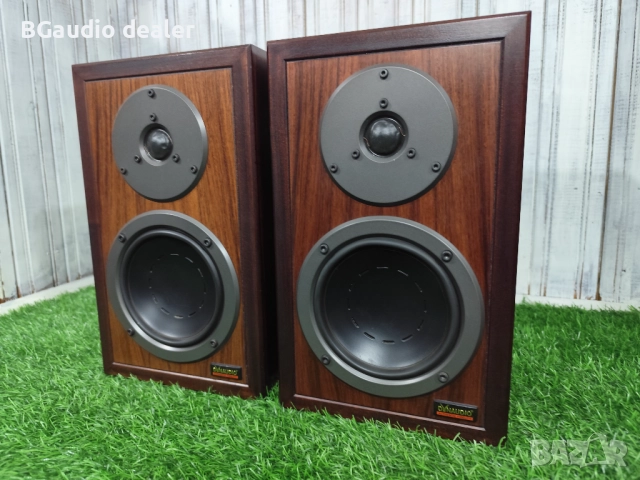 Dynaudio contour 1 , снимка 3 - Тонколони - 52684864