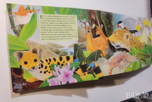 Горите около Екватора   Звуците на природата * Автор: Морис Пледчър, снимка 4 - Детски книжки - 37473526
