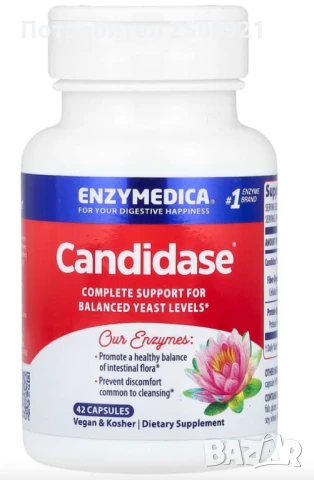 Храносмилателни ензими - Enzymedica Digest Gold / Candidase / KAL GABA, снимка 1