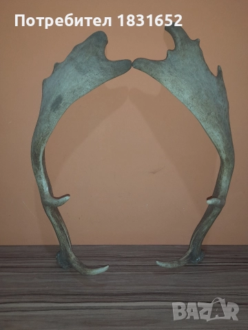 Рога от елен - Лопатар, снимка 7 - Други ценни предмети - 52829017