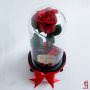 Подарък за Рожден ден на Жена / Вечна ЕСТЕСТВЕНА Роза в Стъкленица / Подарък за Мама, снимка 8