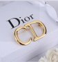 Брошка Dior , снимка 1 - Други - 44157581