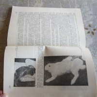 Книга Зайцевъдство , снимка 4 - Специализирана литература - 32094311