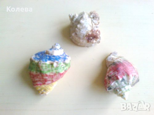 Цветни рапанчета, снимка 1