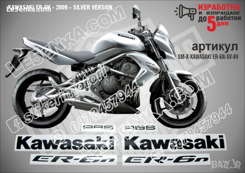 KAWASKI ER-6N SILVER VERSION 2009 ER-6N-SV-09, снимка 1