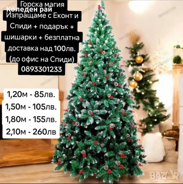 ЕЛХА Горска магия с ТЪНЪК КЛОН, СНЕЖНИ КРАЙЧЕТА, ШИШАРКИ и ПЛОДЧЕТА + подарък, снимка 1