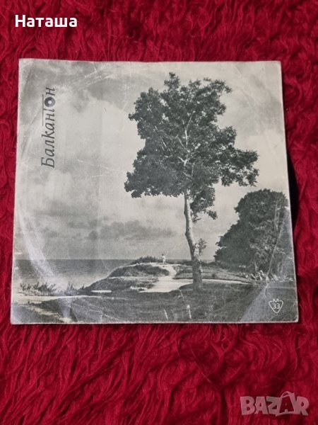 Грамофонна плоча , снимка 1