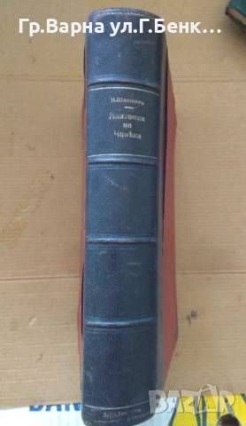 Анатомия на човека част 2  И.Шапшал 1927г  12лв, снимка 3 - Специализирана литература - 51812056
