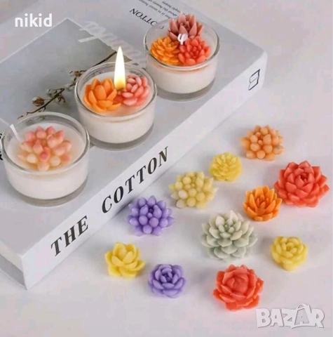 3D 9 различни Сукулент сукулента сукуленти кактус растения силиконов молд форма фондан смола гипс, снимка 2 - Форми - 52137107