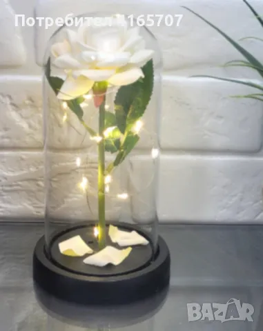 Бяла роза под стъклен купол - Вечна елегантност, снимка 5 - Лед осветление - 48679339