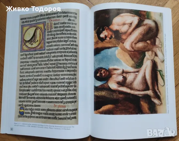 Arts Past and Present - Illustration Book 70+ илюстрации на Cezanne,Picasso,Matisse,Blake, снимка 11 - Енциклопедии, справочници - 48335302