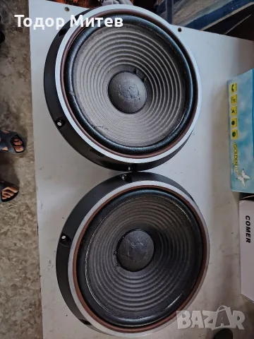 Sony 12" alnico