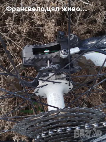 29 карбон велосипед колело Cannondale размер 50 ,2 по 10 скорости , снимка 10 - Велосипеди - 49687302