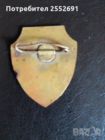 Значка, снимка 2 - Колекции - 29213440