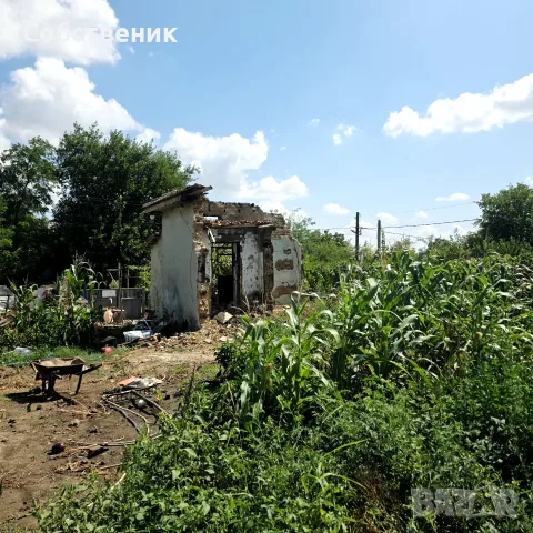 Парцел с овошки, снимка 13 - Парцели - 54730105