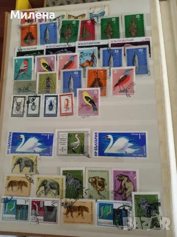 Пощенски марки, снимка 8 - Колекции - 50144253