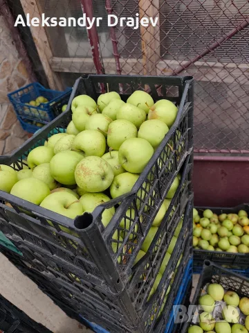 Круши, Ябълки,Мед и Сокове , снимка 5 - Домашни продукти - 56258345