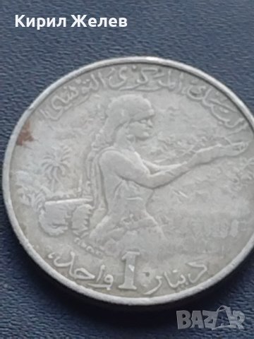 Монета 1 динарий 1976г. Тунис рядка за КОЛЕКЦИОНЕРИ 41115, снимка 3 - Нумизматика и бонистика - 42775024