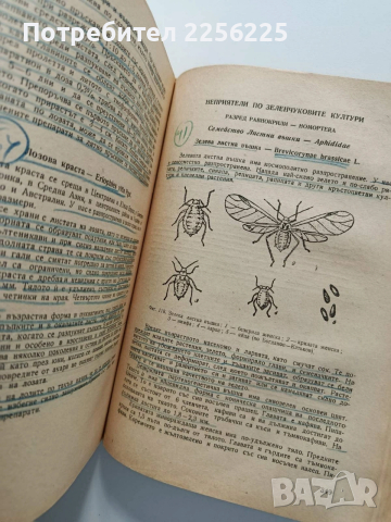 Ентомология, снимка 9 - Специализирана литература - 54087443