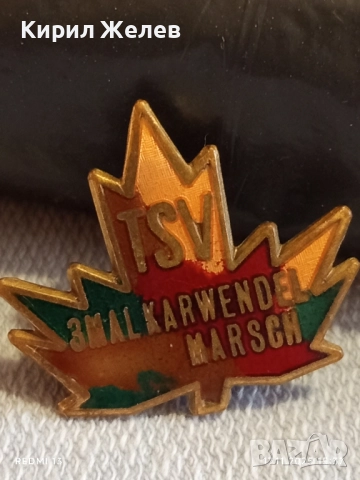 Рядка стара значка 3 MALKARWENDEL MARSCH Австрия уникат с емайл за КОЛЕКЦИЯ 52272, снимка 3 - Колекции - 52443382