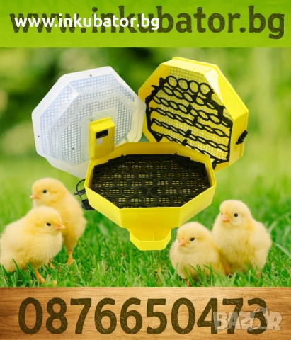 Инкубатори за 82 яйца, Cleo 5x2 DTH, с термометър и влагомер