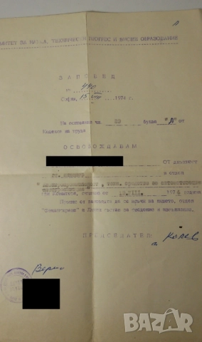 Лот ~20 стари документи; карти (партийни, спестовни), пропуски, книжки (здравна, орденска), награди, снимка 17 - Антикварни и старинни предмети - 51440966