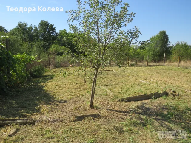 Къща в с. Малко Дряново, снимка 14 - Къщи - 56245095