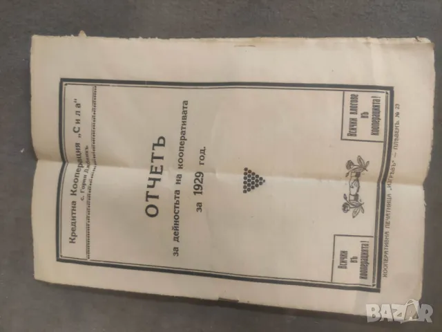 Отчет кооперация " Сила " 1929 г. Горни Дъбник 