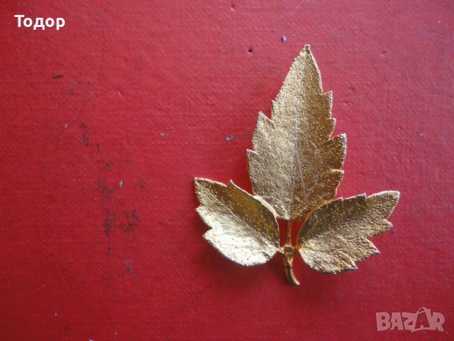 Страхотна позлатена брошка 11 , снимка 6 - Други - 40083445