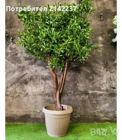 Изкуствено маслиново дръвче, снимка 11 - Изкуствени цветя - 47379367