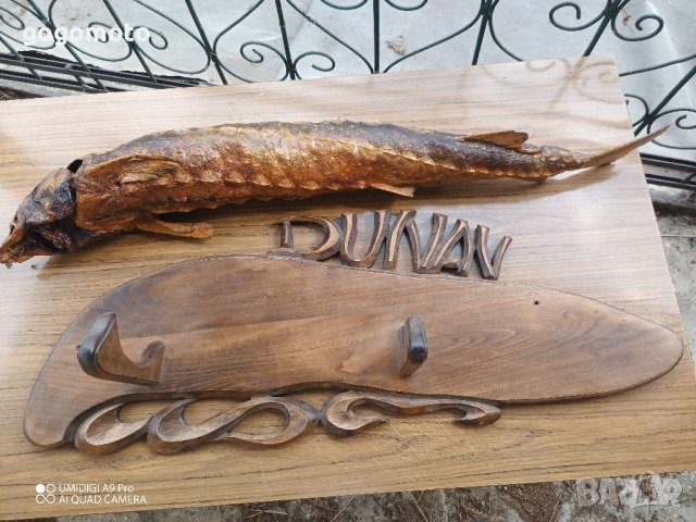 Трофей, Риболовен трофей щука от ДУНАВ, на над 50 години, снимка 15 - Декорация за дома - 37053412
