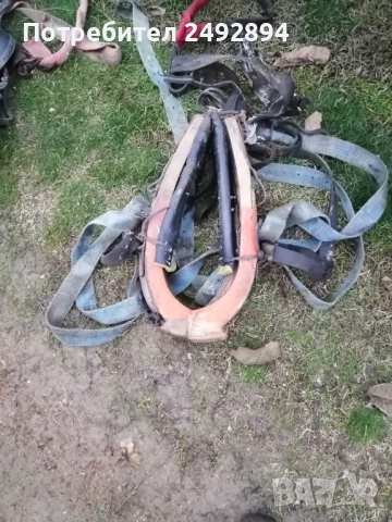 Конски хамут , снимка 10 - Други животни - 52506534